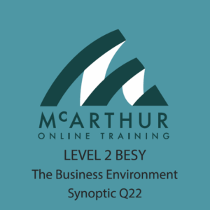 Level 2 BESY - The Business Environment Synoptic Q22