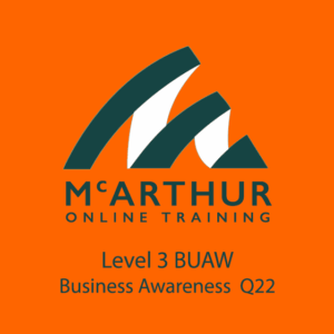 Level 3 BUAW - Business Awareness Q22